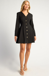 THE VIENNA BUTTON MINI DRESS